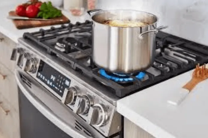A stainless steel gas range with a pot on a lit burner